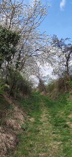 Foto de I Breitler60 a lo largo del recorrido