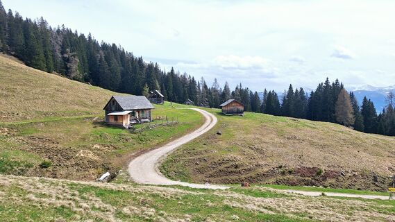 Fotografia z Regina Fleischmann na trase