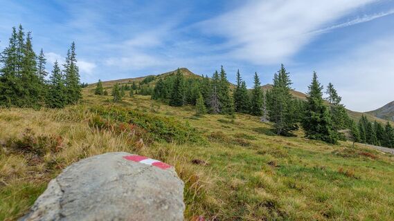 Almlandschaft am Niedernsiller Hochsonnberg
