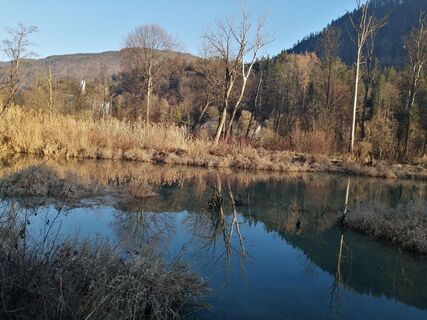 Foto de Brigitte Rottmann a lo largo del recorrido