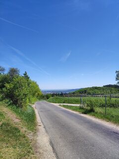 Fotografija s spletne strani Natureforus na poti