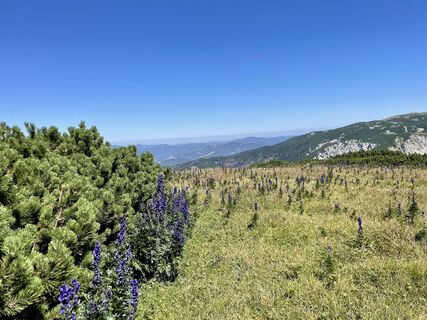 Foto von Sarah entlang der Tour