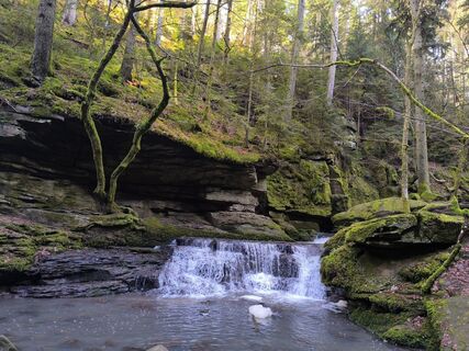 Foto da Apasara Apfelbach lungo il tour