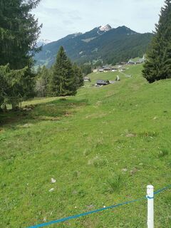 Fotografia z Waldläufer na trase