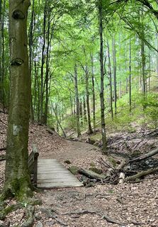 Foto von Kevin Eperjesi entlang der Tour