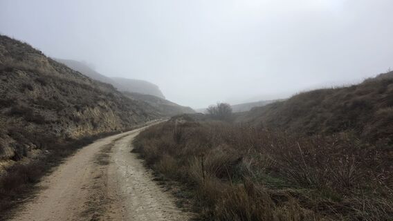 Foto von Christian Pühringer 1 entlang der Tour
