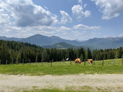 Fotografija s spletne strani Thorsten Schulze na poti