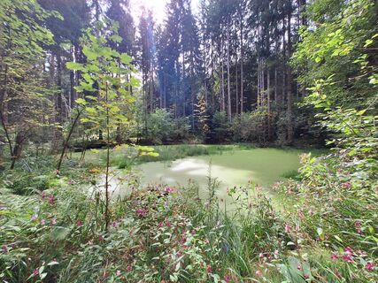 Fotografija s spletne strani Isabella Peinsold-Klammer na poti