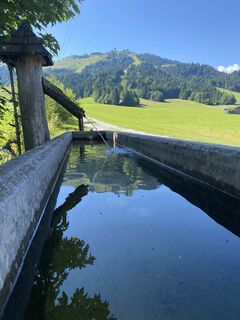 Foto von Sven Krieblin entlang der Tour