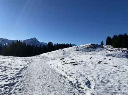 Fotografija s spletne strani David Amrein na poti