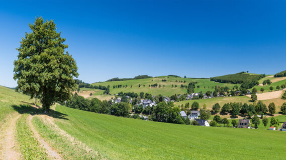 Blick von der Fotoroute auf Oberhenneborn
