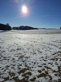 Foto von Roswitha entlang der Tour