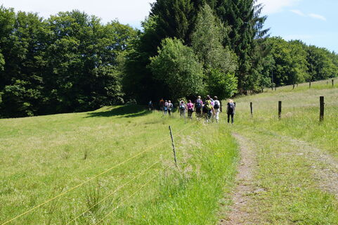 Bergischer Weg bei Bröl