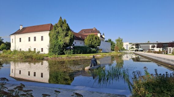 Fotografia z Jordy na trase