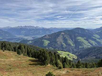 Foto från Frank de Vries under resans gång