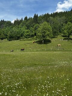 Fotó a Katrin Rupprecht honlapról a túra során