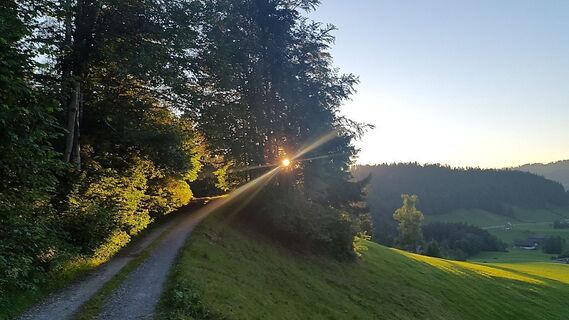 Rotenberg Runde