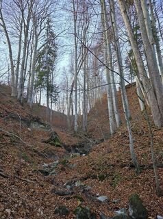 Foto von Christian Schüller entlang der Tour