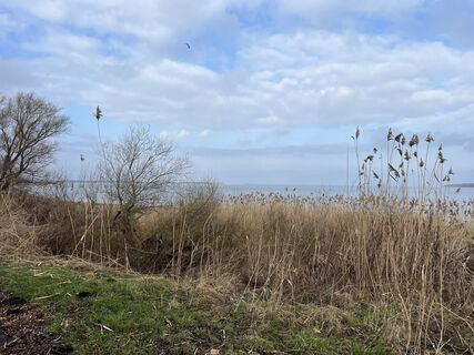Foto da Bernd Schattschneider lungo il tour