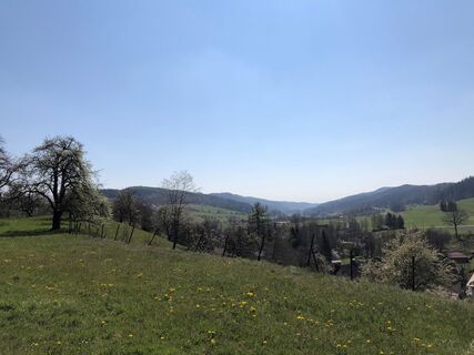 Zwischen Echbeck Illmensee und Rickertsreute