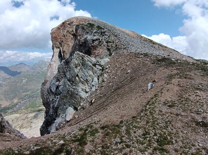 Fotografija s spletne strani Daniele Belotti na poti