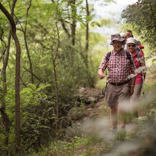 Wanderer auf der Lötschberger Südrampe