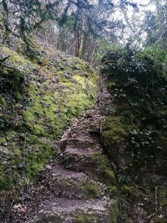 Fotografija s spletne strani luyyy na poti