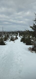Fotografija s spletne strani Stefan Wakolbinger na poti