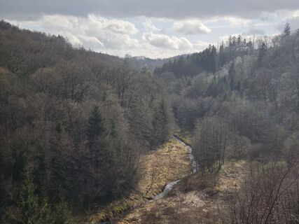 Fotografie z Björn Heun na trase
