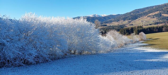 Zdjęcie z Johann Eisenbeutl wzdłuż trasy