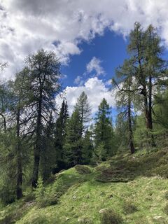 Foto von Christian Hoffelner entlang der Tour