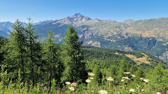 Foto von Fabrizi Mellano entlang der Tour