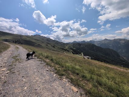 Foto de Benjamin Bergmann a lo largo del recorrido