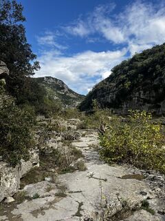 Fotografija s spletne strani Lea Bouvas na poti