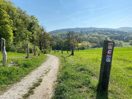 Entlang des Bergweltenweges in Steinhagen