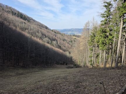 Foto von Axel Holtz entlang der Tour