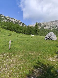 Fotografia z Benedikt Ferch na trase