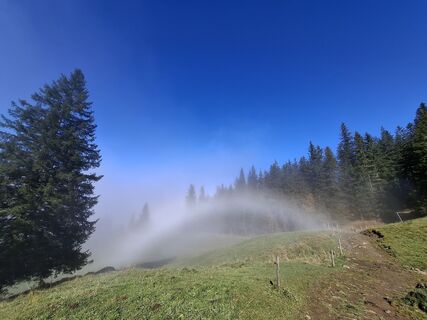 Photo de Maurer Silvia le long du parcours