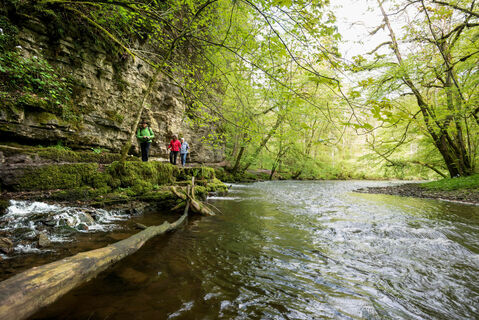 Fluss in der Wutachschlucht