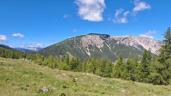 Foto von Bergpirat entlang der Tour