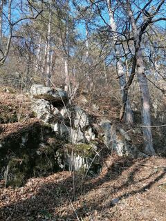 Foto von Dragoljub Ilic entlang der Tour
