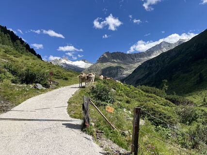 Photo de Martin Hanewald le long du parcours