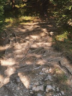 Foto von Richard Weber entlang der Tour