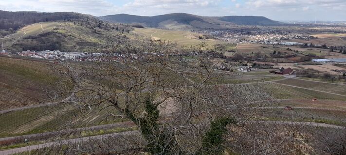 Blick von der Schützenhütte in Richtung Stetten