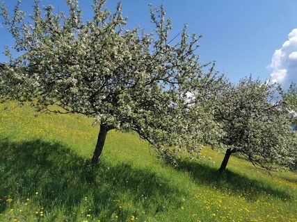 areitsteig_img_73025135