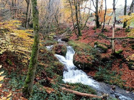 Fotografija s spletne strani Jp Rault na poti