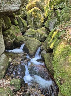 Foto de josef duermoser a lo largo del recorrido