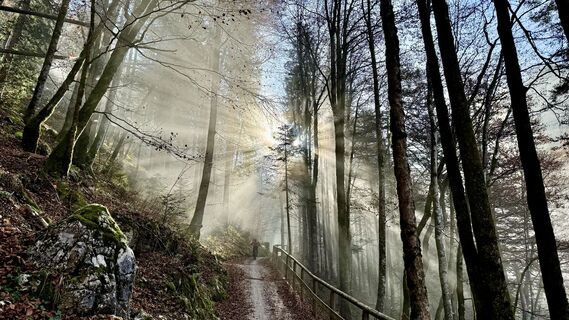 Foto von Les aventures de Ghislain entlang der Tour