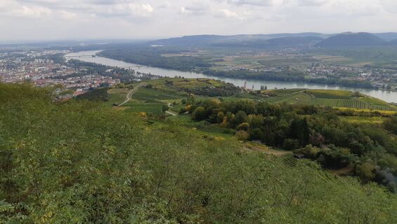 Ausblick in das Donautal/Tullner Feld