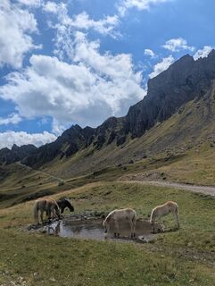 Foto von Nicolò Buratti entlang der Tour